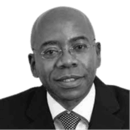 Prof Bonang Mohale